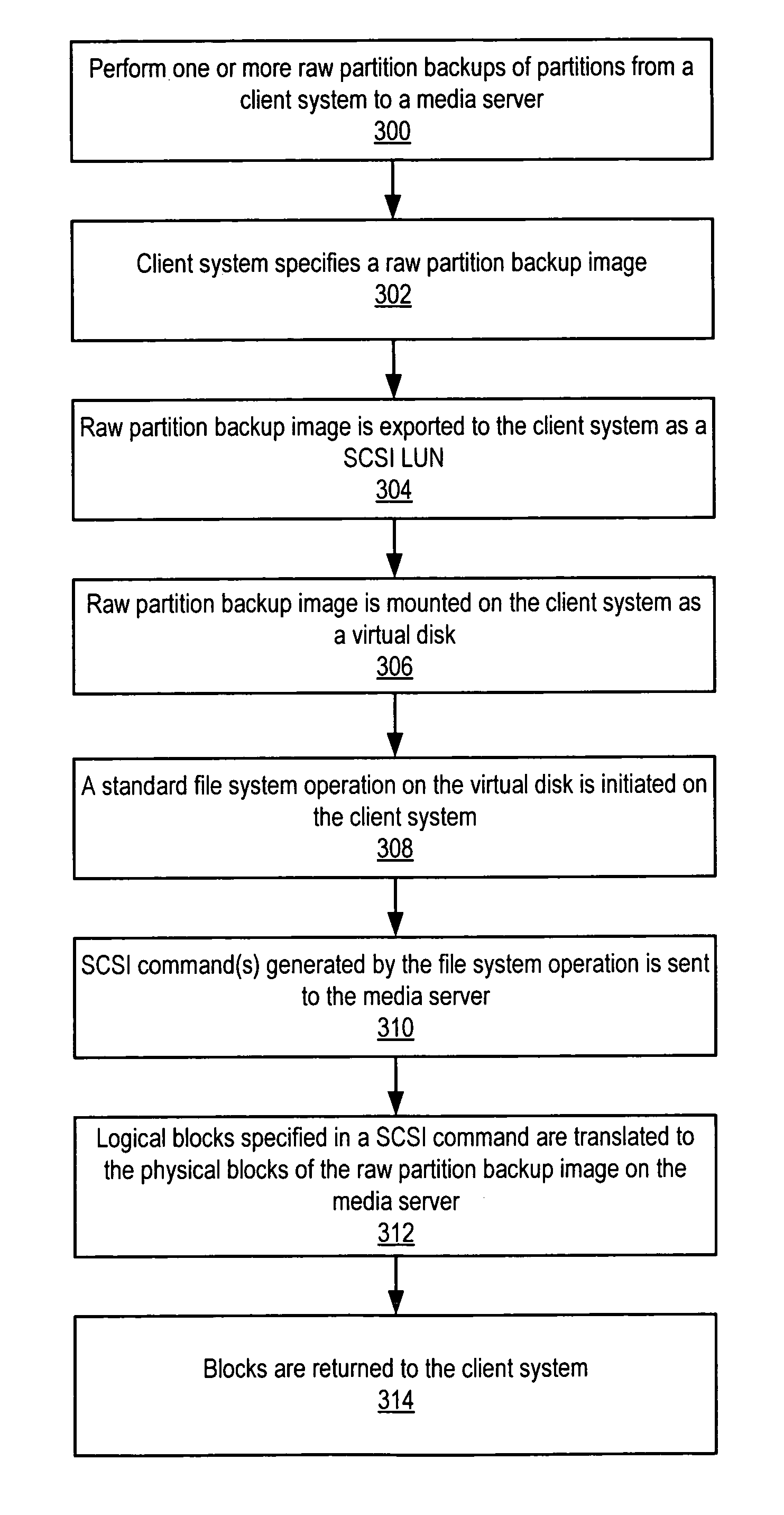 Method and apparatus for file-level restore from raw partition backups