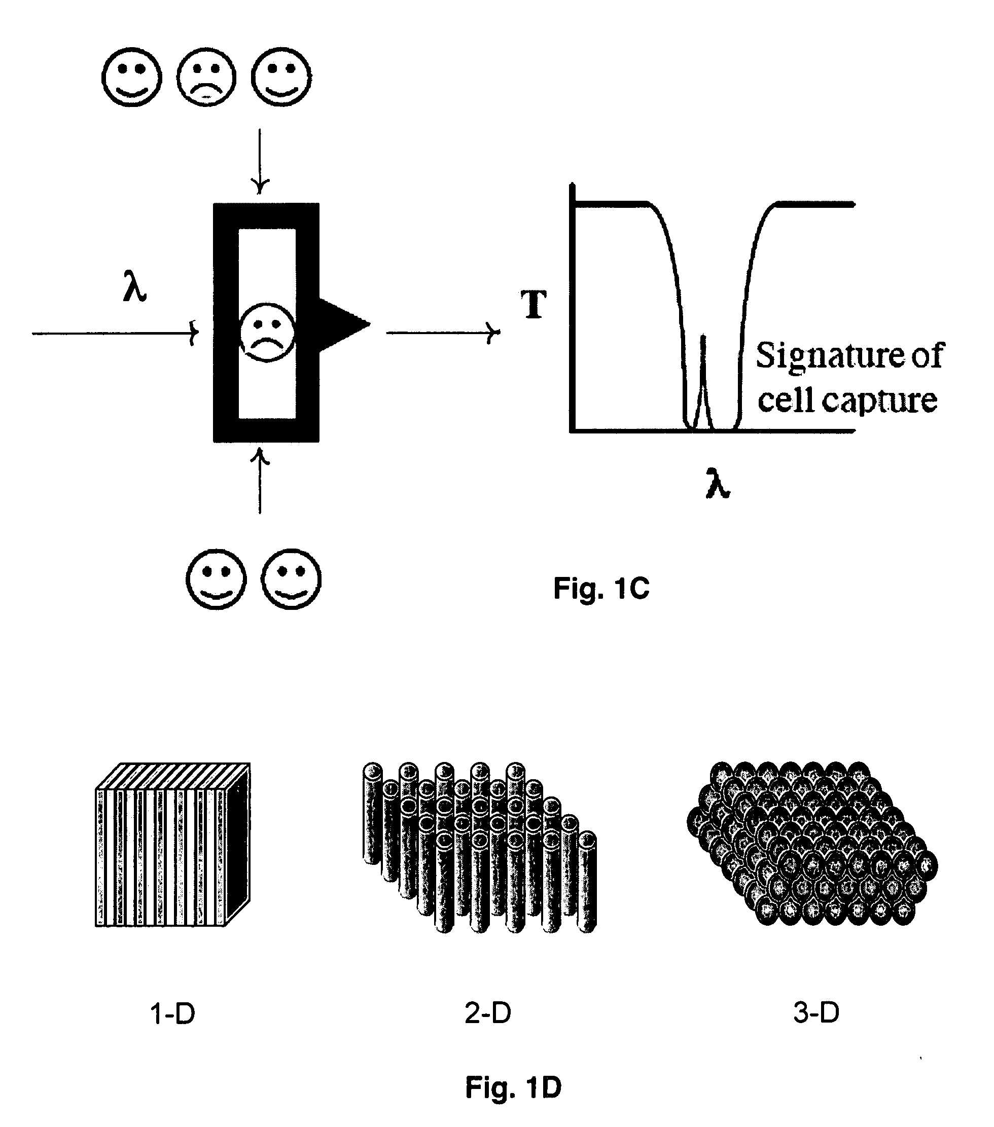 Real Time Detection of Molecules, Cells and Particles Using Photonic Bandgap Structures