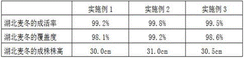 Method for performing mild saline-alkali land raw soil greening through biological modifier comprising fermented pig manure