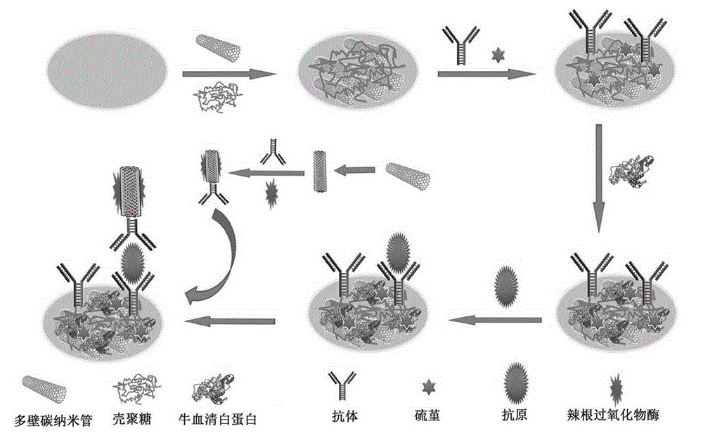 Preparation of addressable electrochemical transducer array, and application of addressable electrochemical transducer array to detection of multiple tumor markers and cancer screening