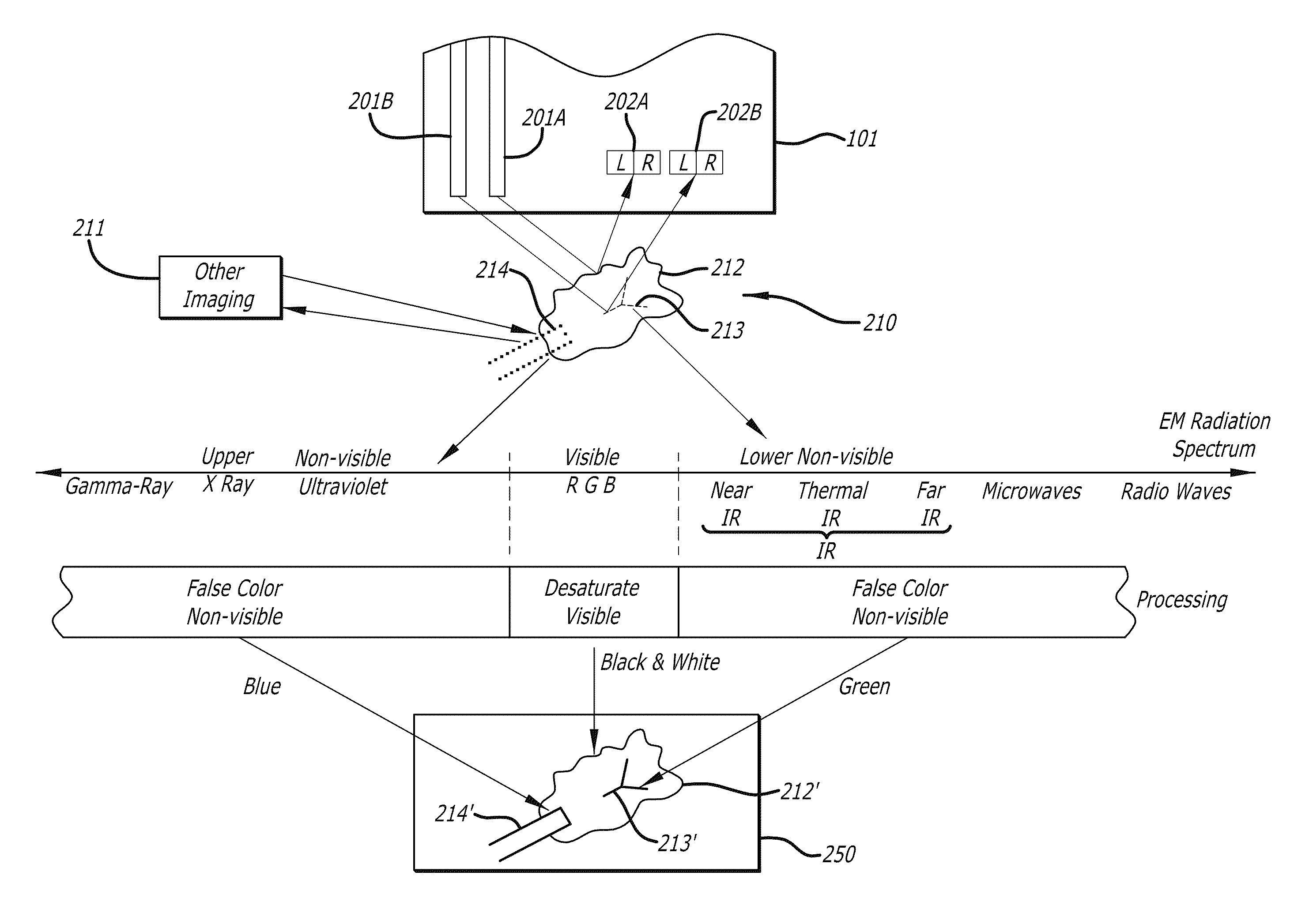 Methods and apparatus for displaying enhanced imaging data on a clinical image