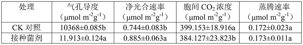 Application of siderophore plant-growth-promoting rhizobacteria