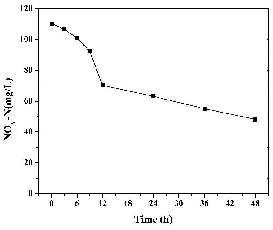 A binary system, construction method and application of quorum-sensing-aerobic denitrifying bacteria for enhanced biofilm denitrification under low temperature conditions