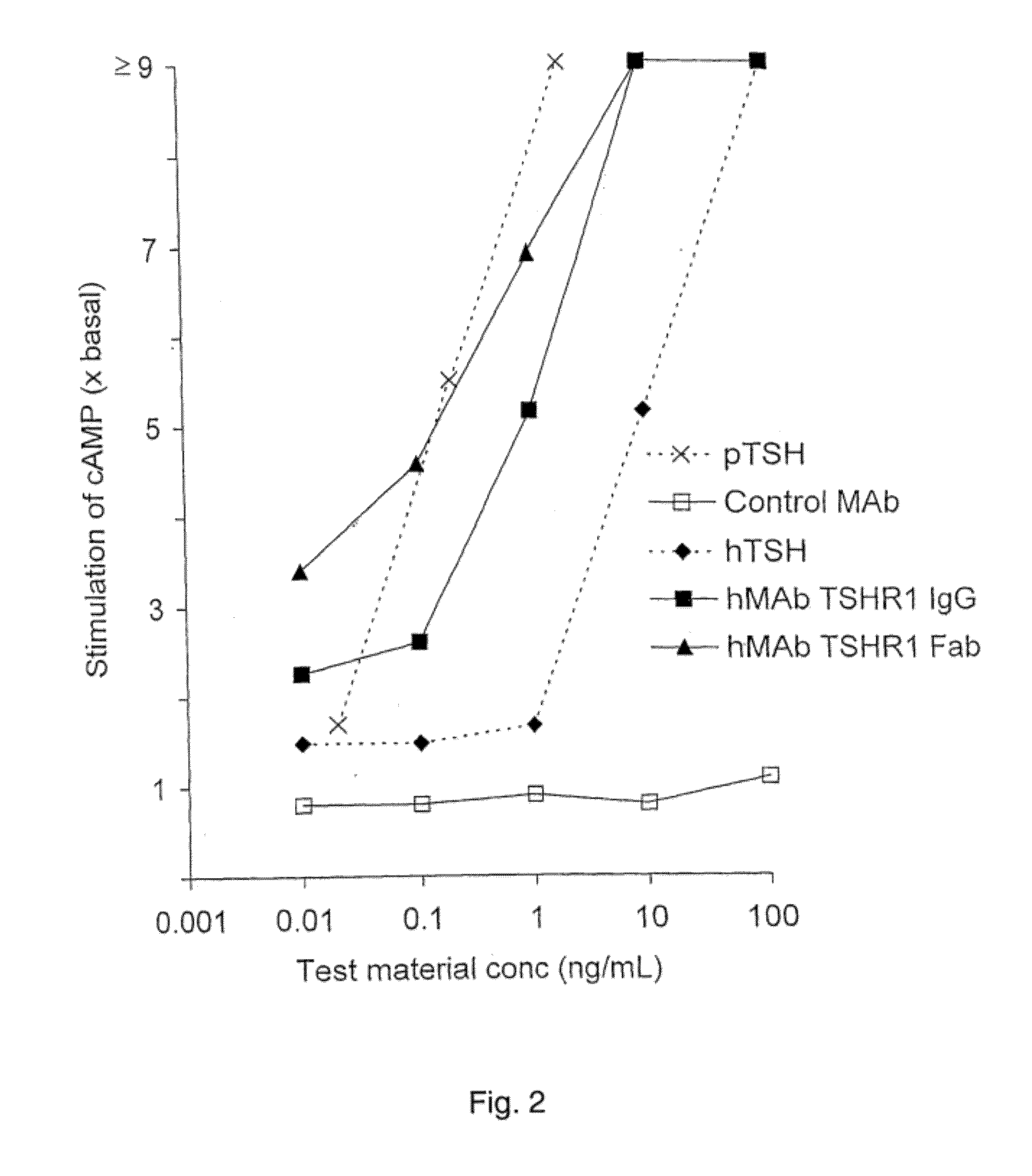 Binding Partners for the Thyrotropin Receptor and Uses Thereof