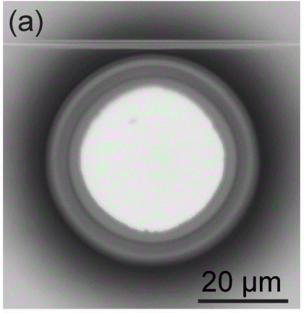 Chip-integrated 2-micrometer wavelength micro laser