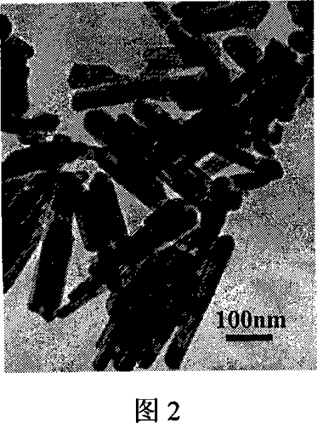 Simple method for ozone oxidation preparation of alpha-FeOOH, beta-MnO2 and Co3O4 nano material