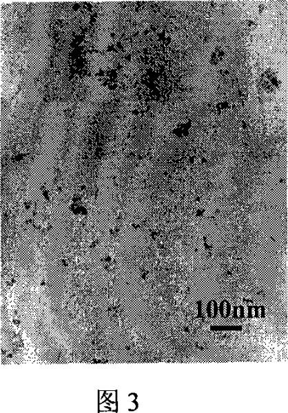 Simple method for ozone oxidation preparation of alpha-FeOOH, beta-MnO2 and Co3O4 nano material