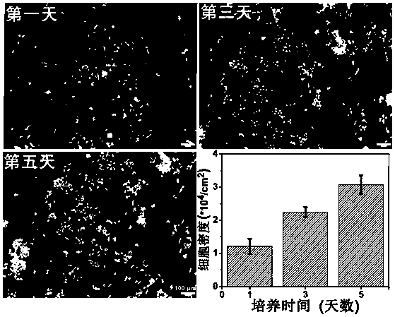 Method for rapid gelation of silk protein solution under physiological conditions