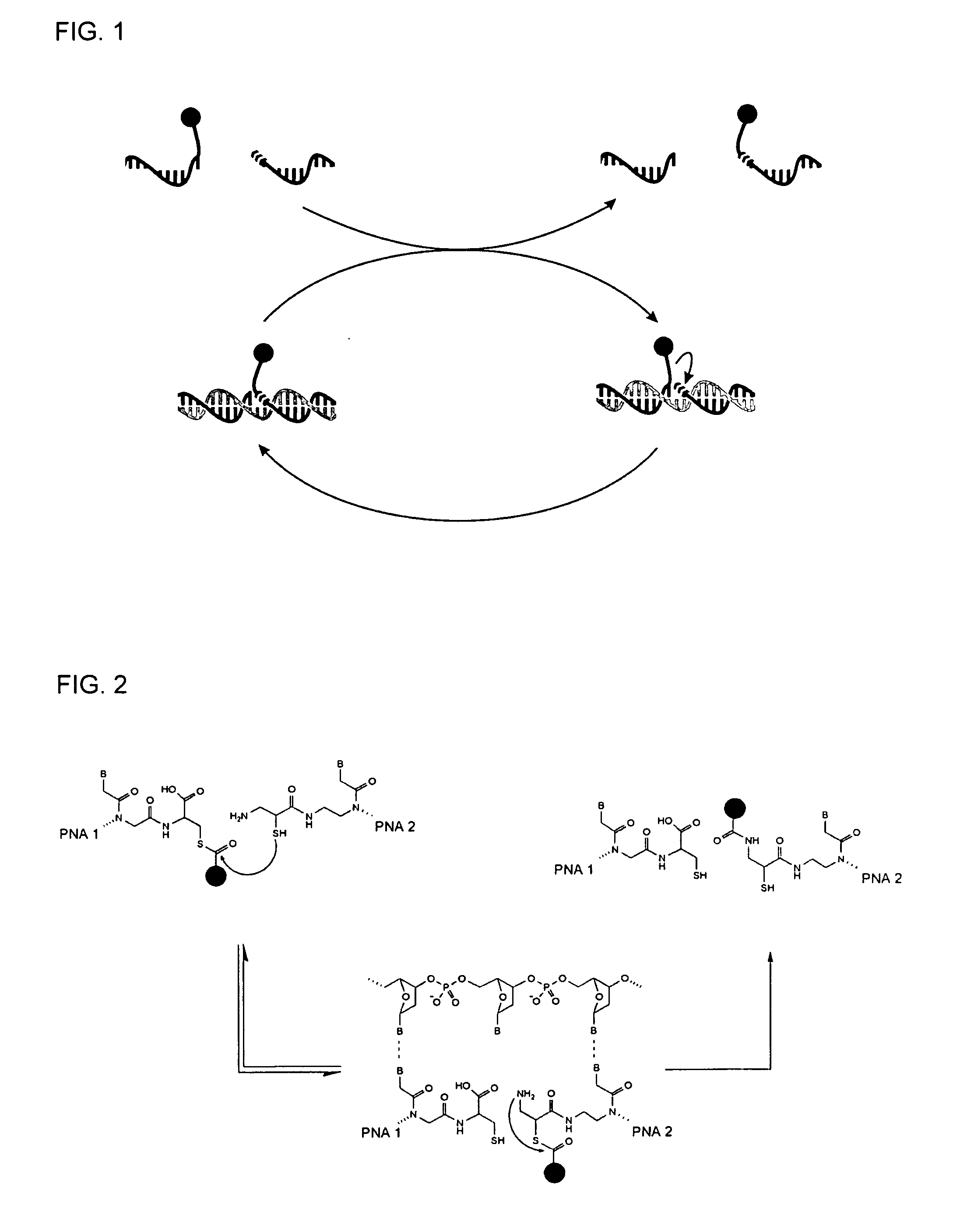 Method for Detecting Target Nucleic Acids Using Template Catalyzed Transfer Reactions