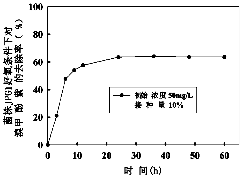 Application of Citrobacter sp. in removal of dye wastewater