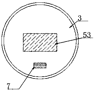 Oral pill counting device