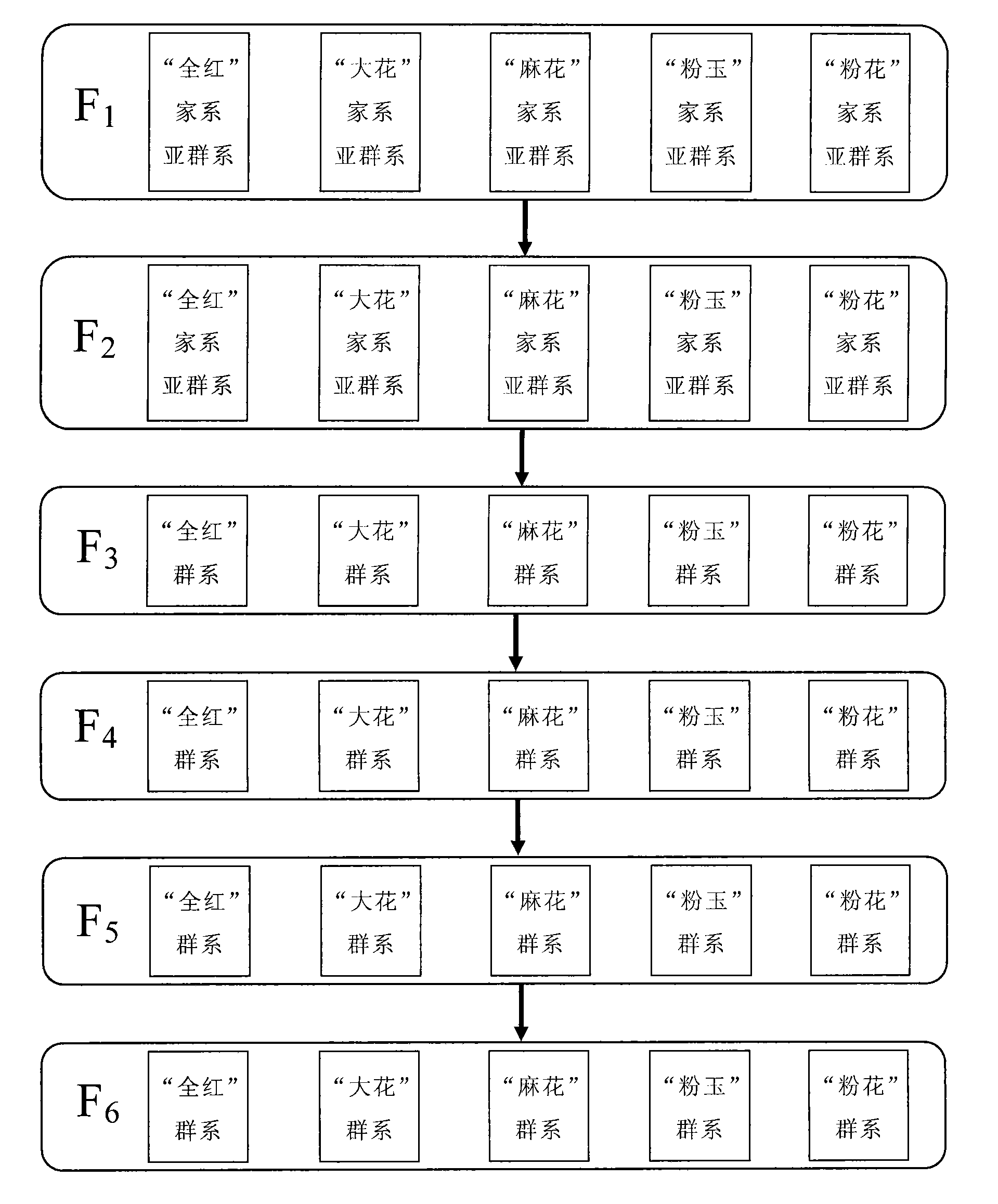 Method for breeding ornamental type Cyprinus carpio var. color