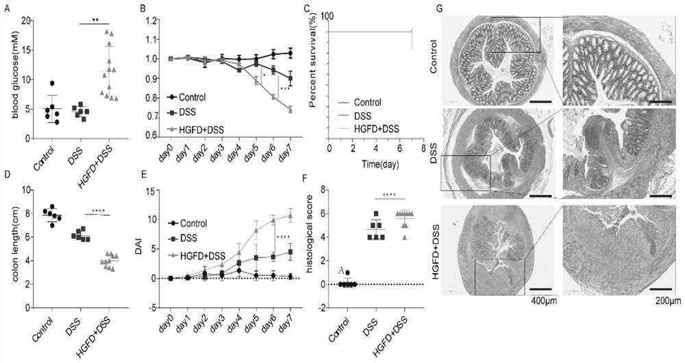 Application of metformin in relief of ulcerative colitis induced by high glucose and high fat