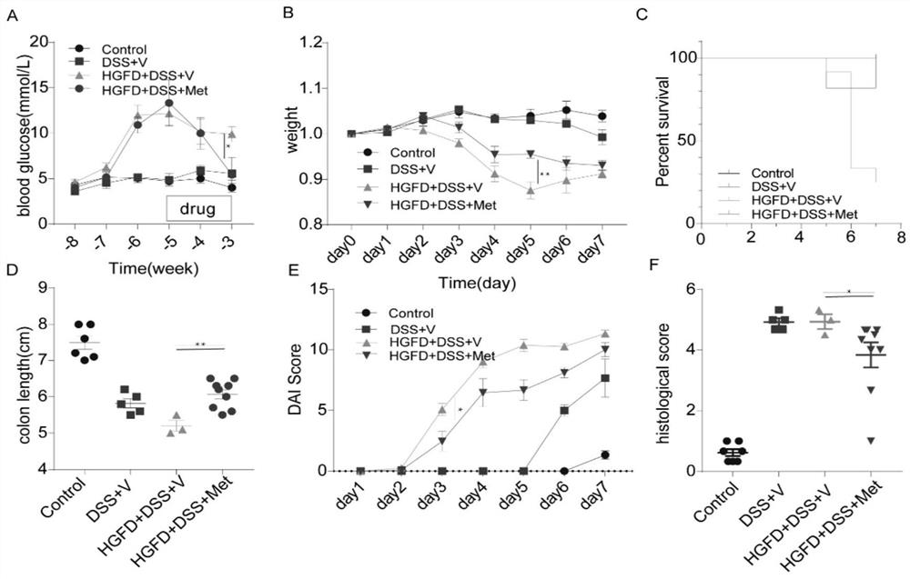 Application of metformin in relief of ulcerative colitis induced by high glucose and high fat