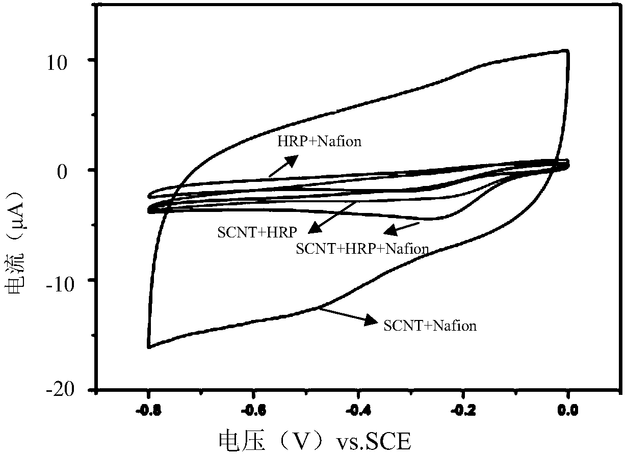 Hydrogen peroxide biosensor based on sulfonated carbon nanotube composited with horseradish peroxidase, preparation and application thereof