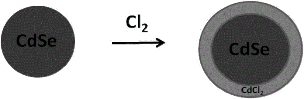 Passivated quantum dot and preparation method thereof