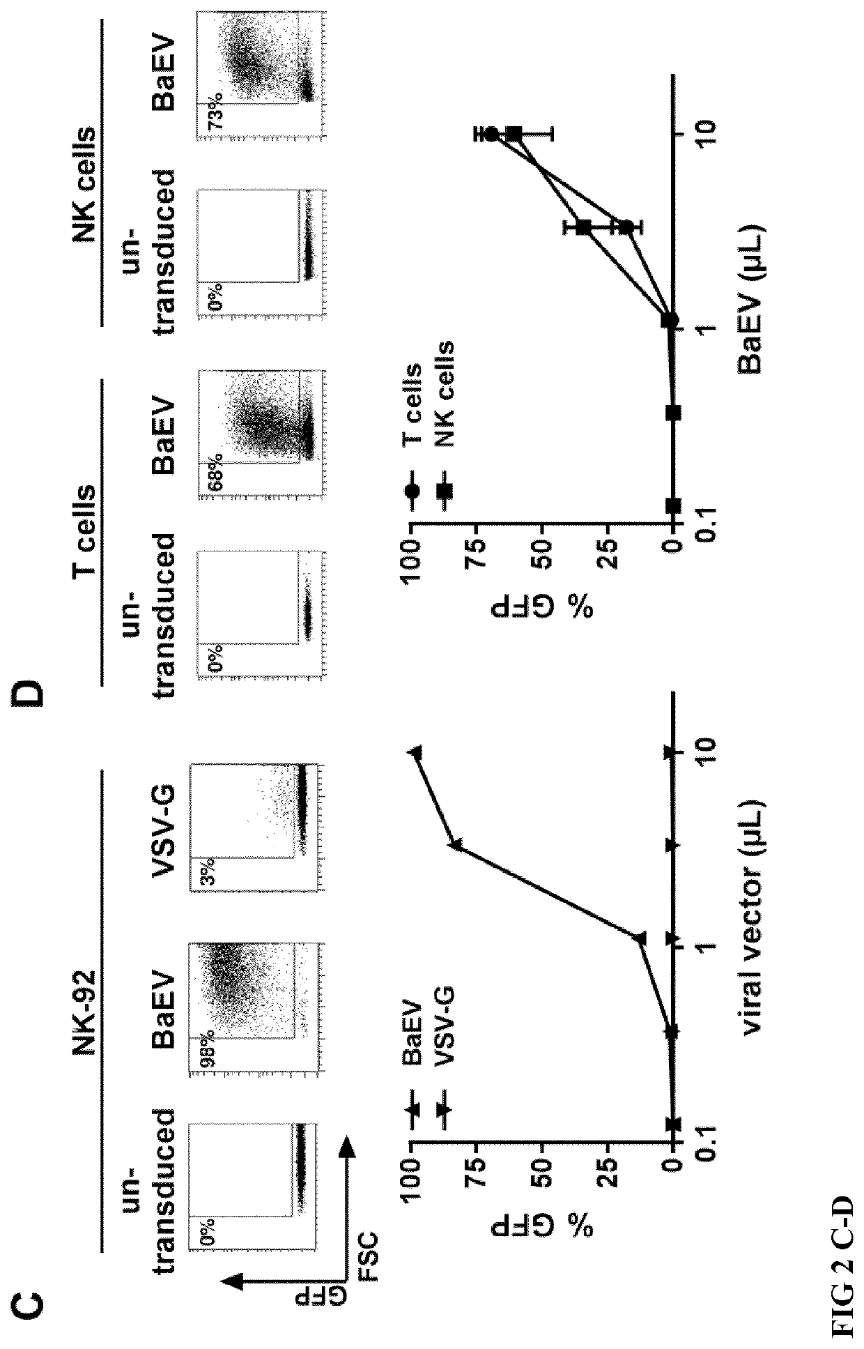 Method for nk cell transduction