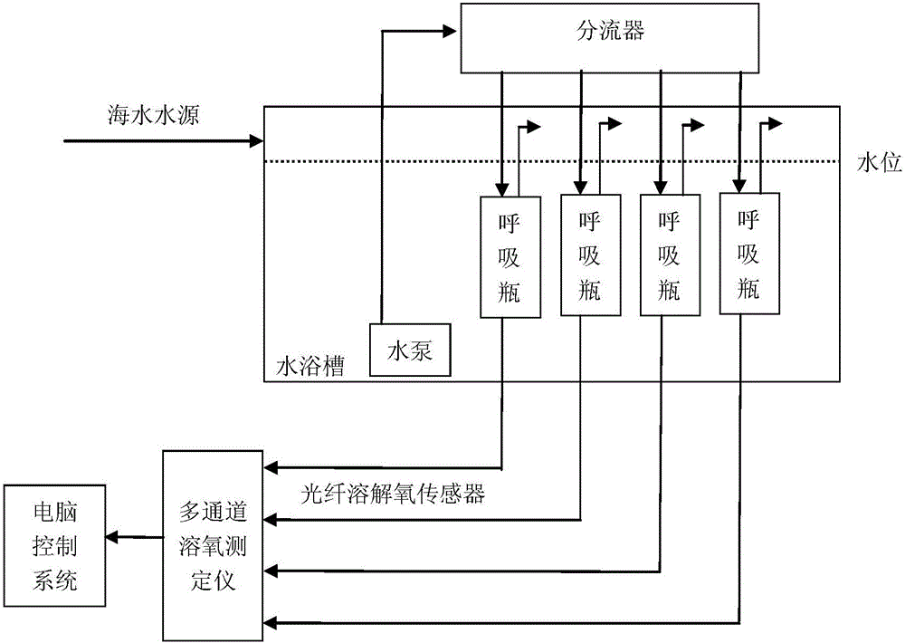 Metabolism physiological measurement system and method for marine organisms