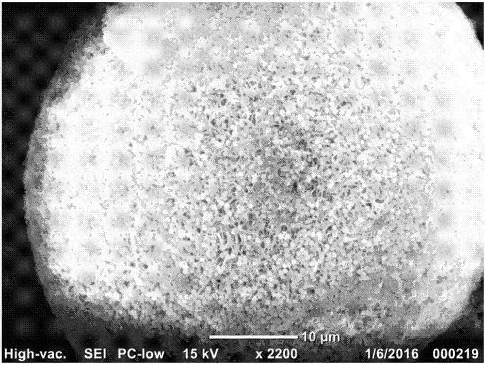 Nylon/silica composite microsphere, preparation method and application thereof