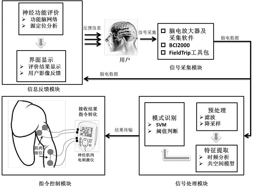 Pure idea nerve muscle electrical stimulation control and nerve function evaluation system