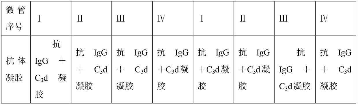 Amoxicillin antibody detection kit and preparation and application method thereof