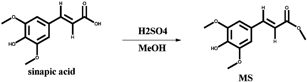 Sunscreen molecule, application and sunscreen cream