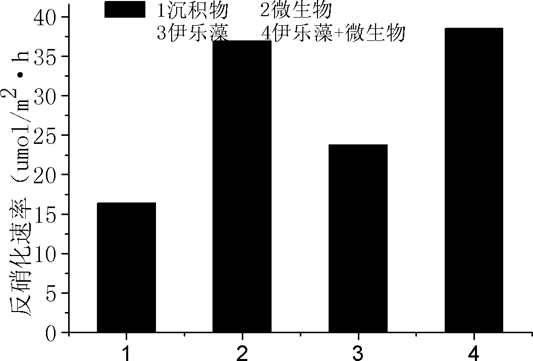 Precise quantization method for nitrogen cycle of lake ecosystem