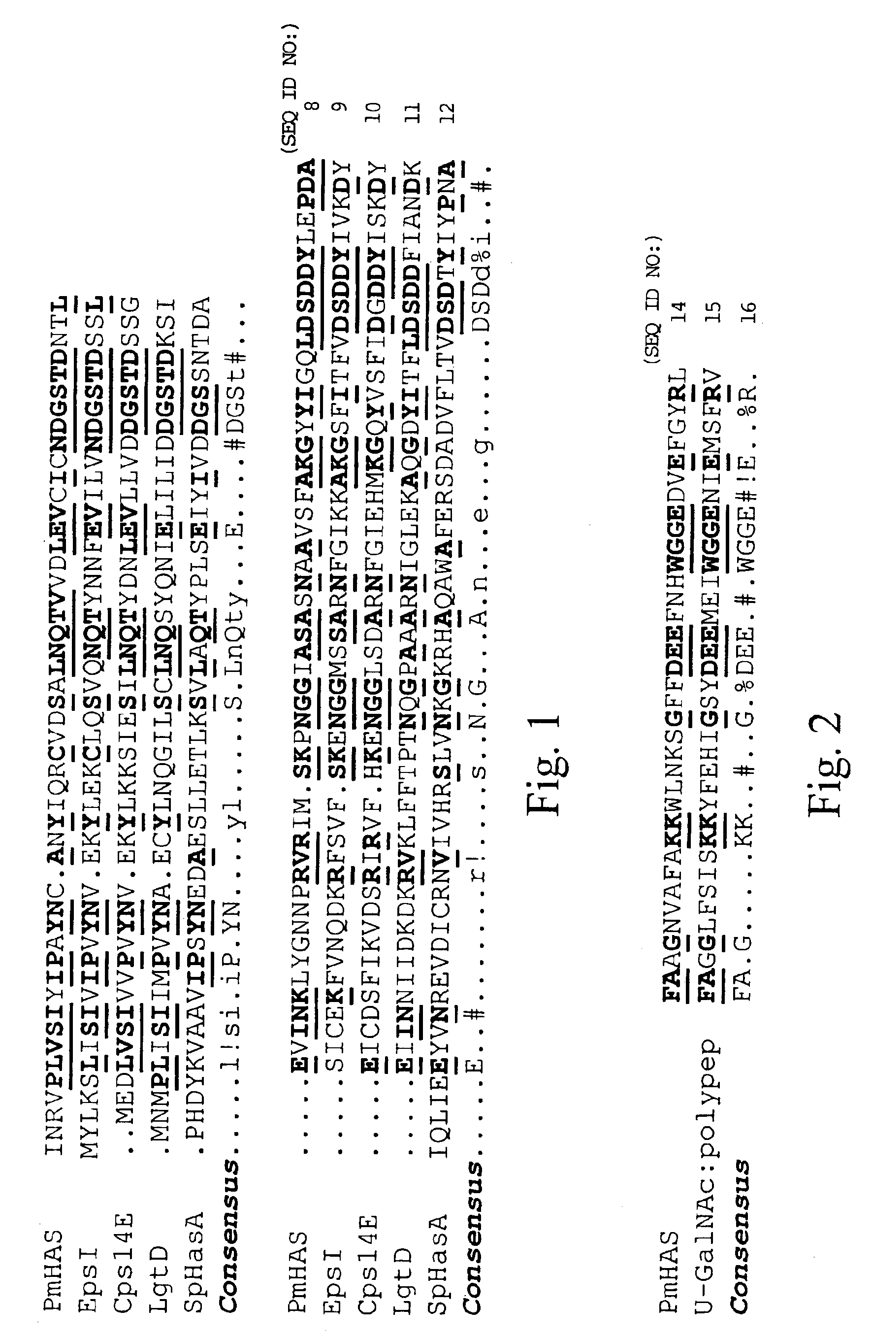 DNA encoding hyaluronan synthase from Pasteurella multocida and methods of use