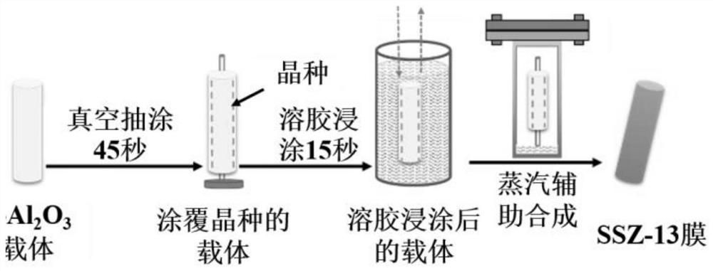 Method for preparing SSZ-13 molecular sieve membrane through steam-assisted conversion