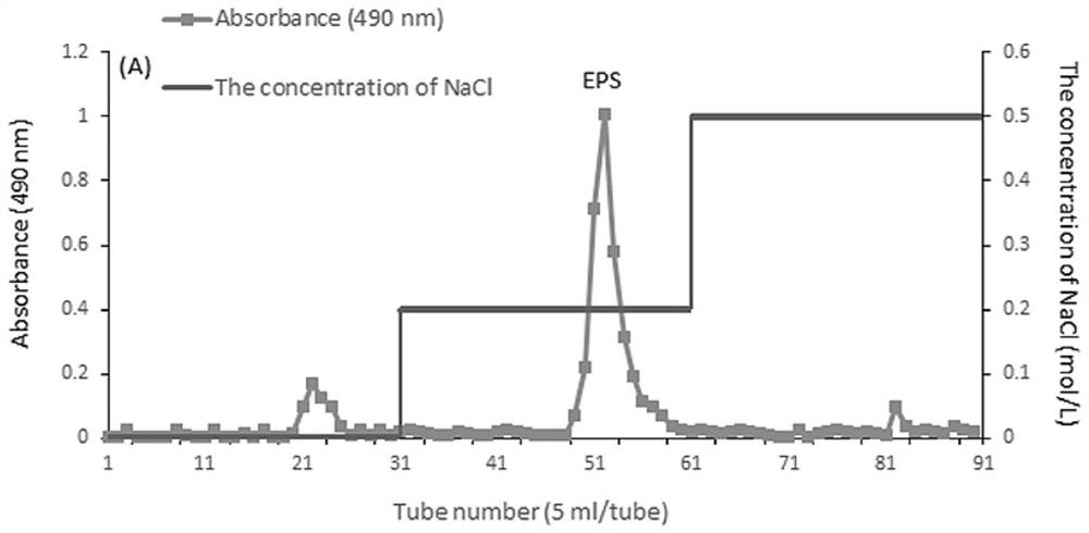 A kind of exopolysaccharide and its application