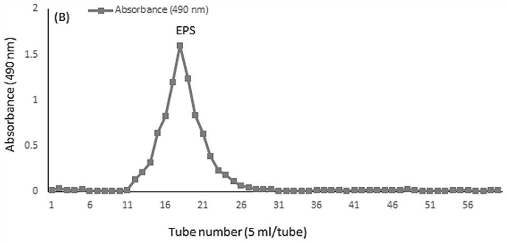 A kind of exopolysaccharide and its application