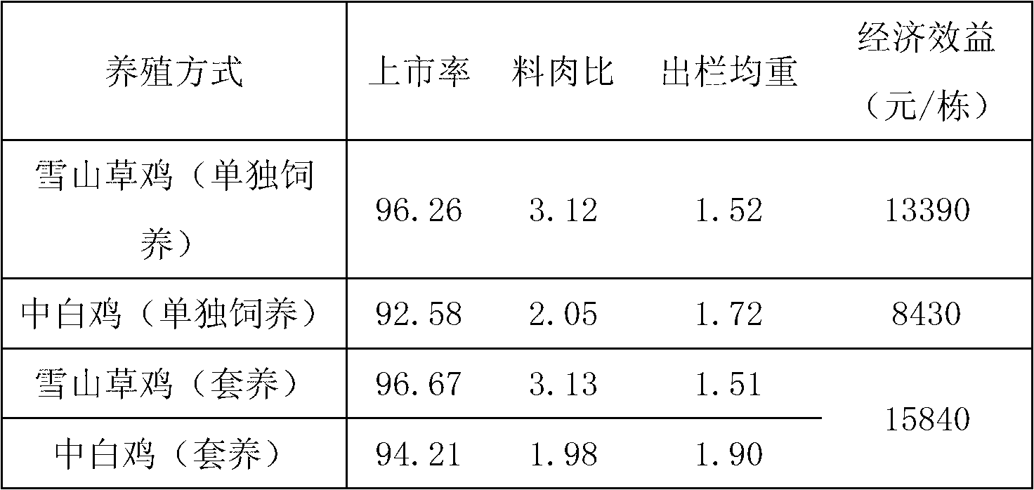 Method for propagating chickens