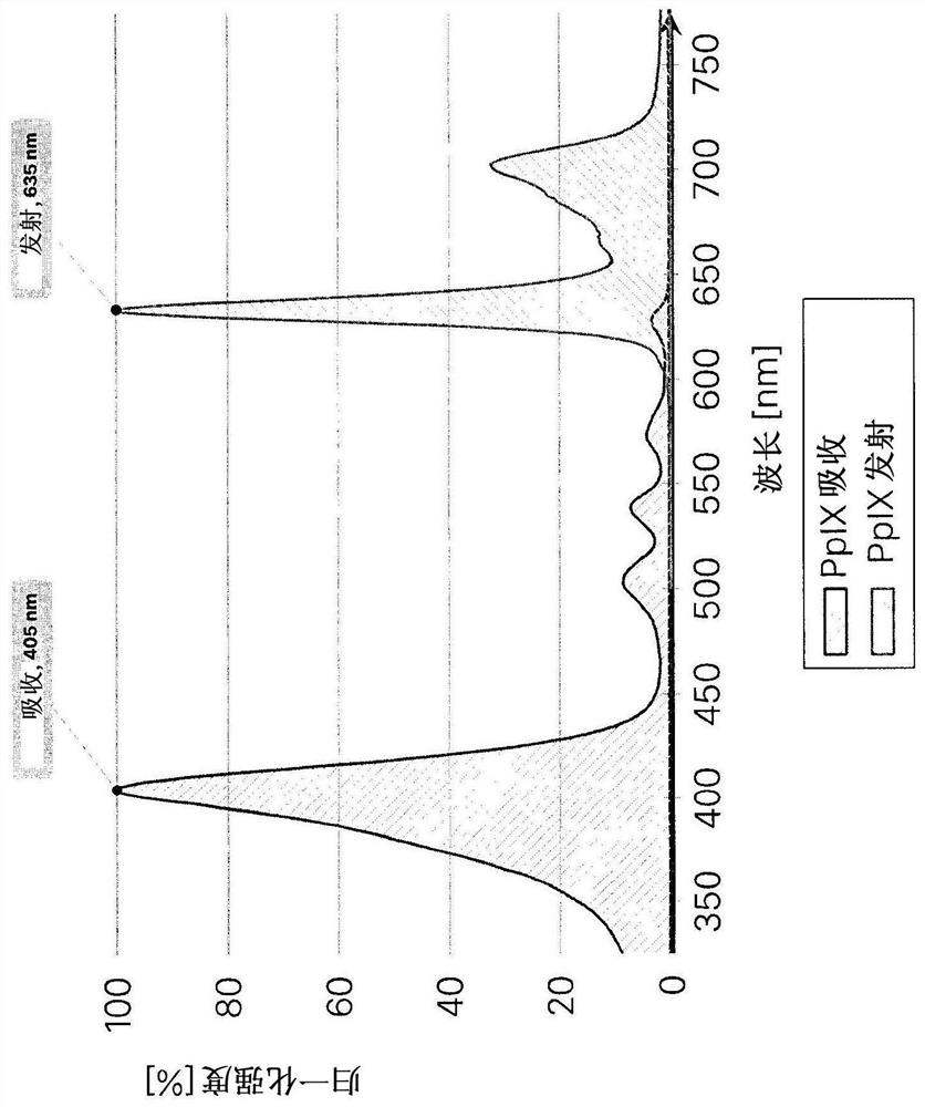 Devices, systems, and methods for tumor visualization and removal