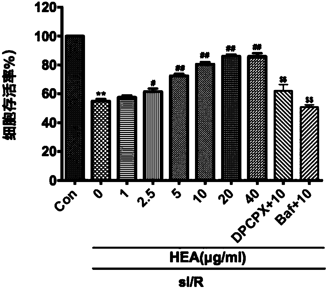 Applications of N6-(2-hydroxyethyl)adenosine in preparation of drugs for prevention or treatment of myocardial ischemic reperfusion injury