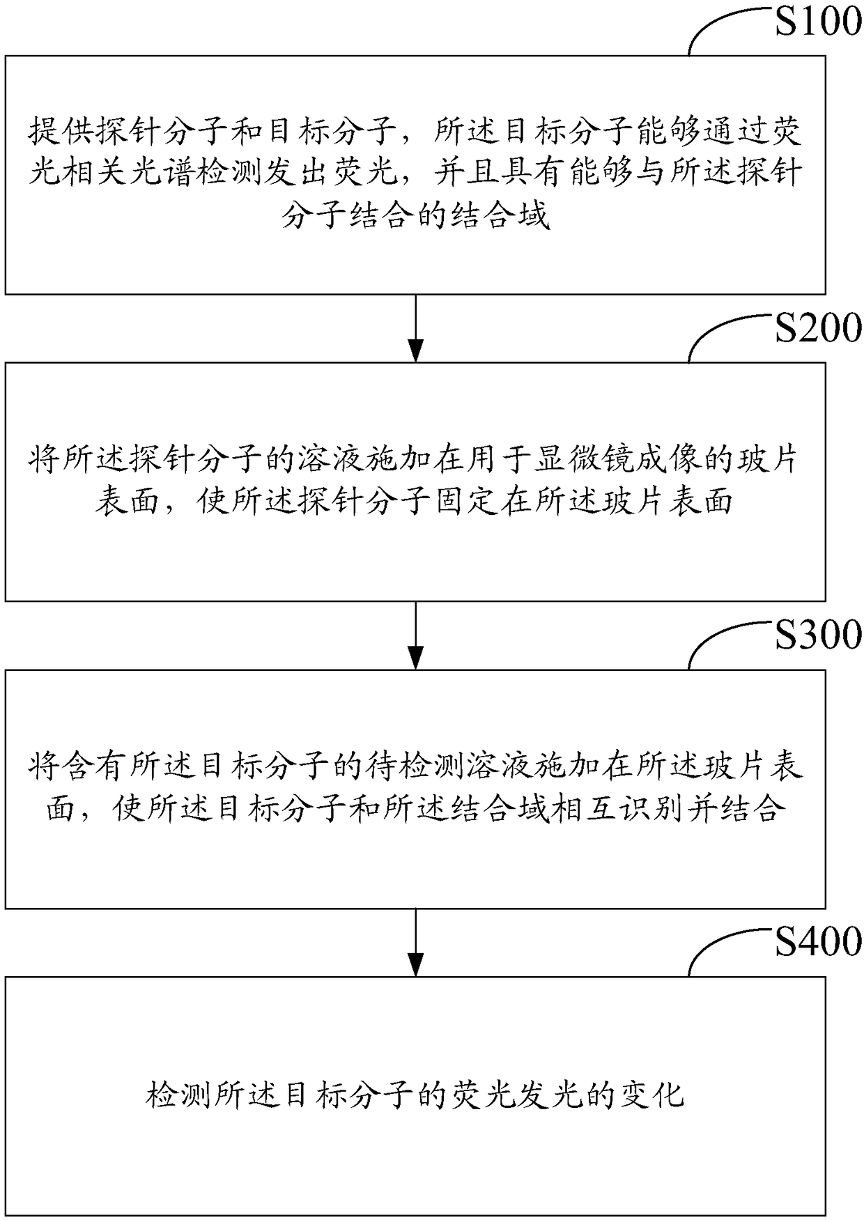 Fluorescence correlation spectrum detection method