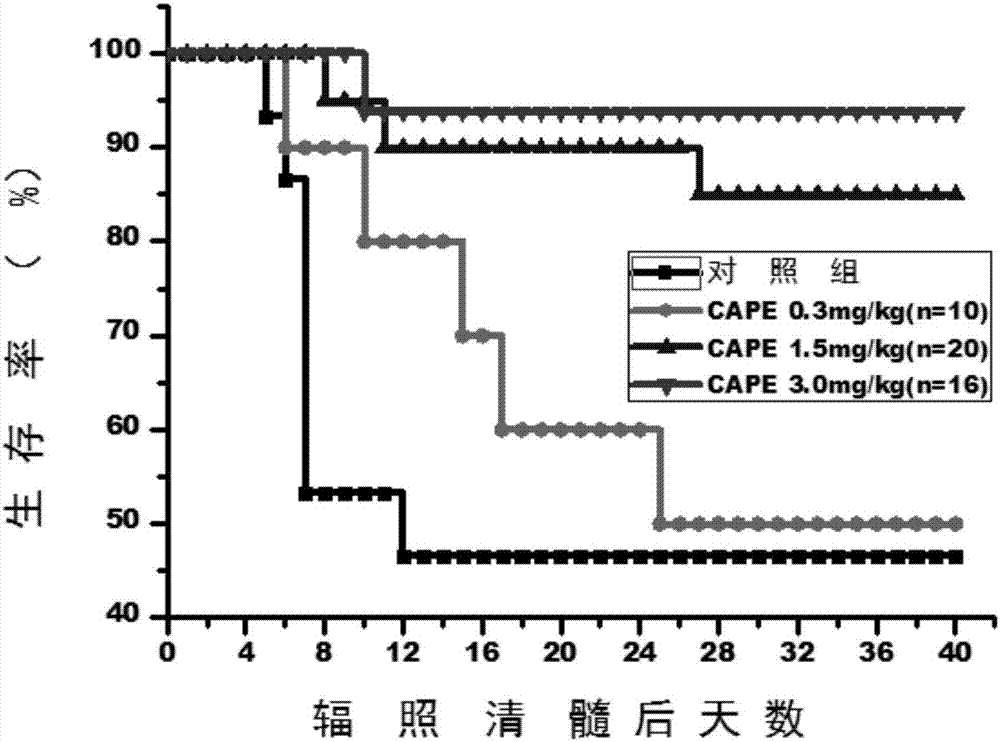 Method for promoting hematopoietic stem cell homing and implantation