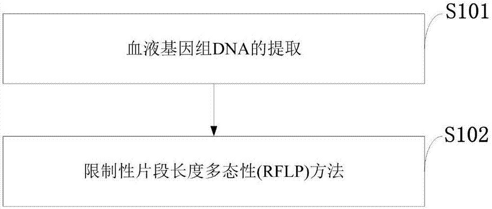 Molecular method for association detection of risk of nasopharyngeal carcinoma