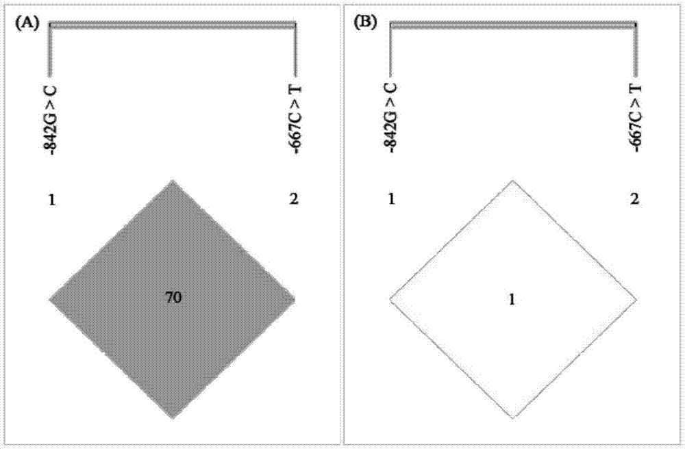 Molecular method for association detection of risk of nasopharyngeal carcinoma