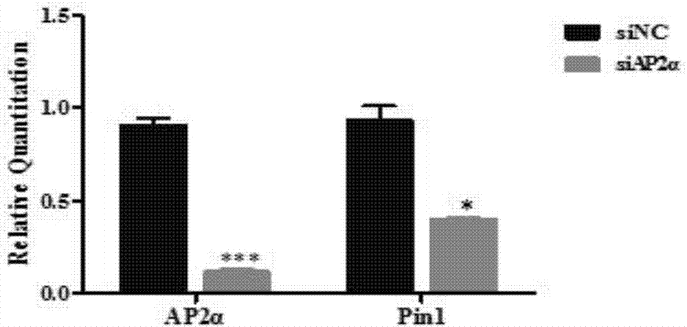 Molecular method for association detection of risk of nasopharyngeal carcinoma