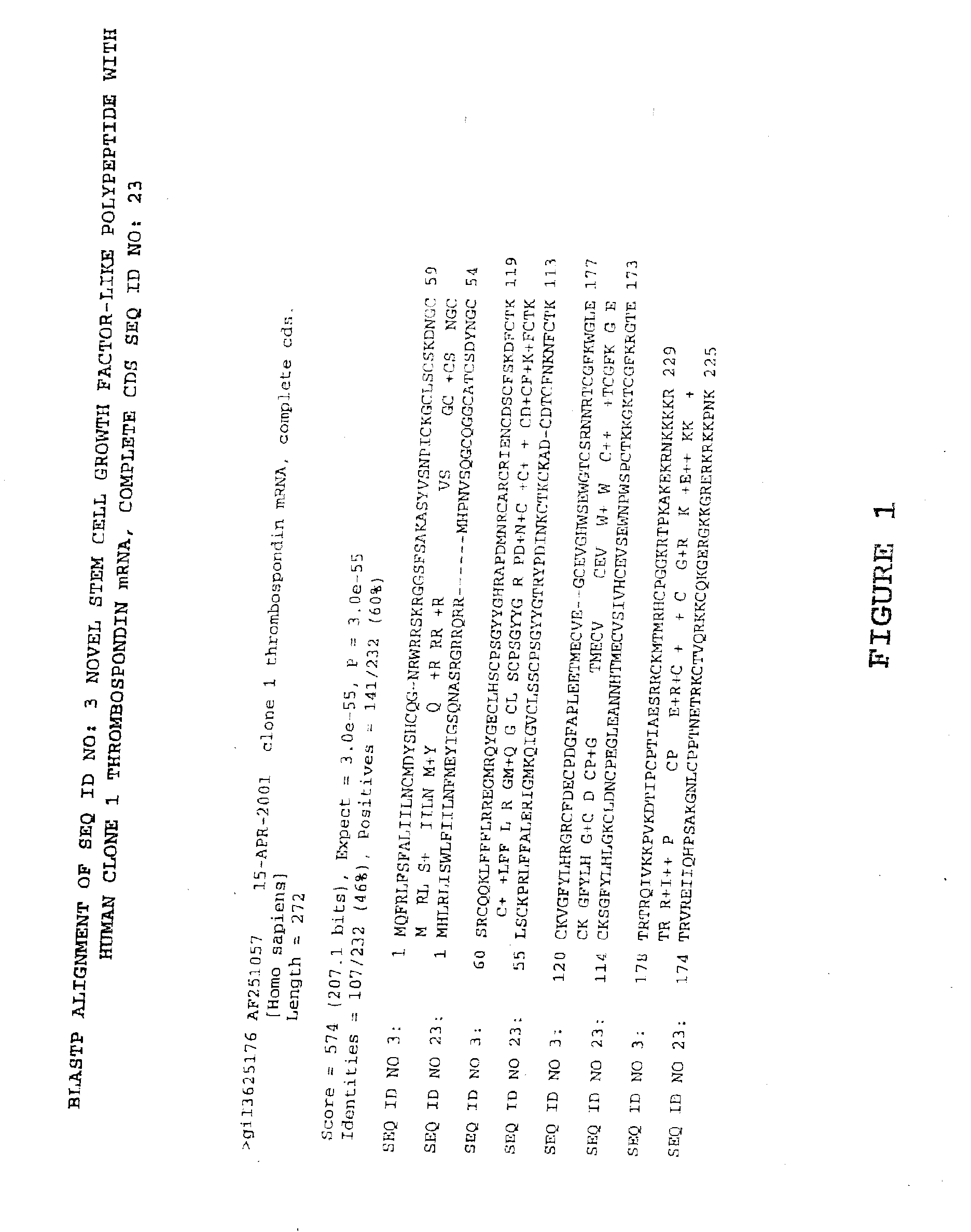 Methods and materials relating to stem cell growth factor-like polypeptides and polynucleotides