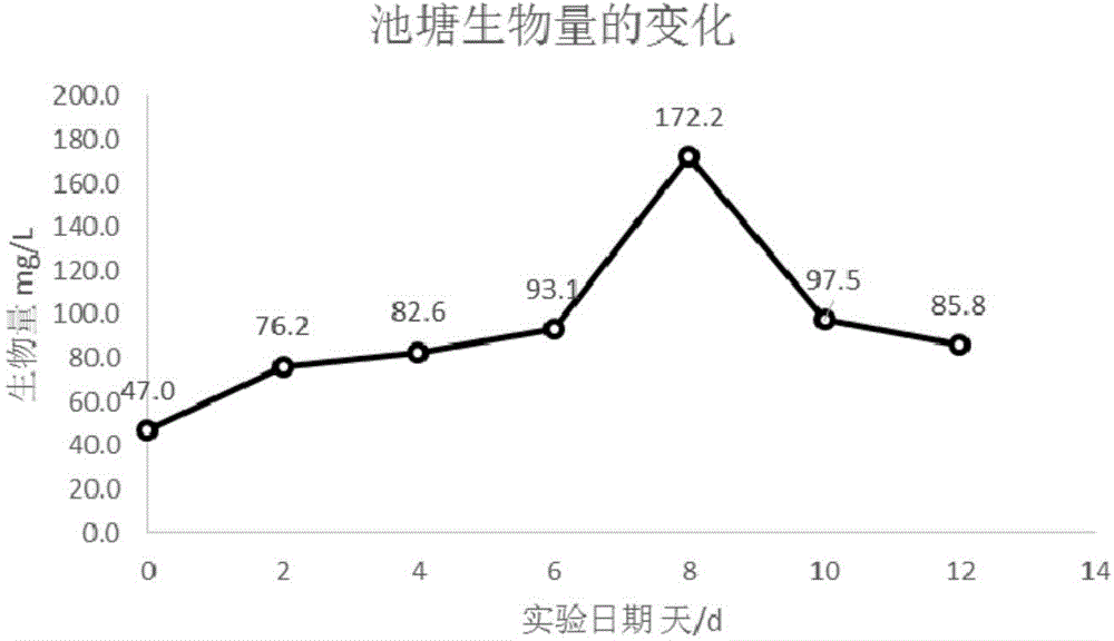 Aquaculture composite efficient biological fish fertilizer and preparation method thereof