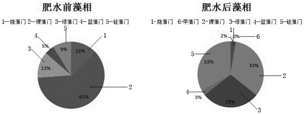 Aquaculture composite efficient biological fish fertilizer and preparation method thereof