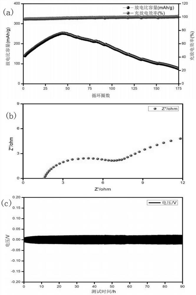 Aqueous zinc ion battery negative electrode material with functional protection layer and preparation method of aqueous zinc ion battery negative electrode material