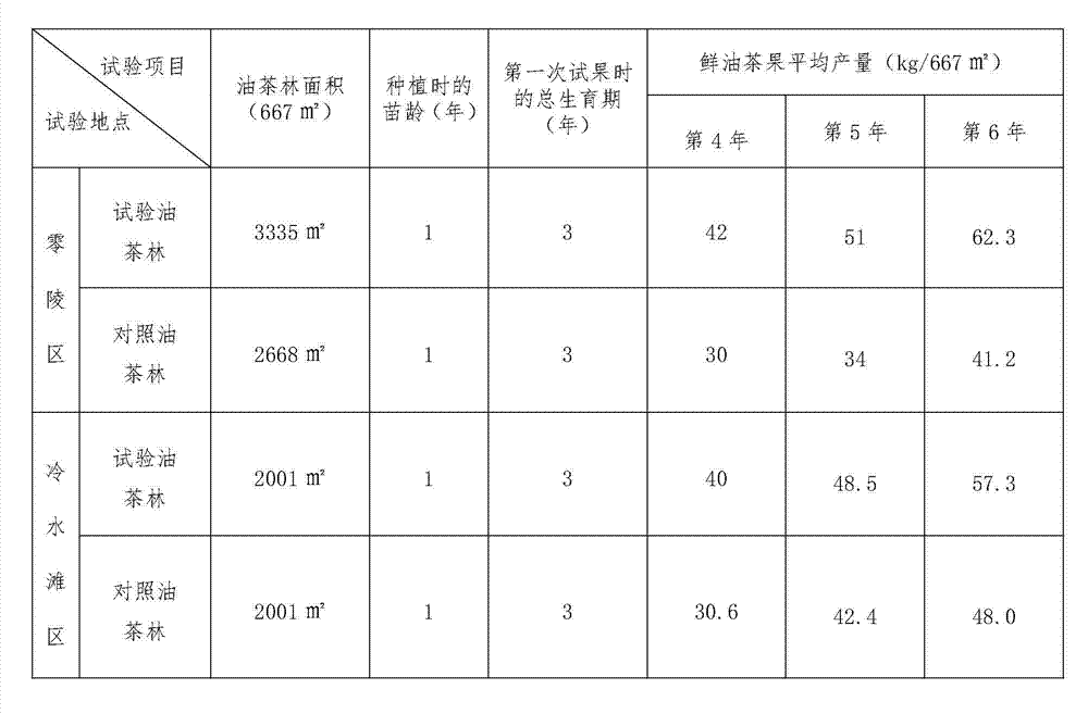 Cultivation method for high-quality oil-tea large seedlings