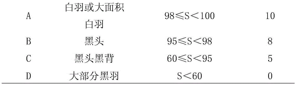 Breeding method for white-feather intergenerically hybridized duck female parent