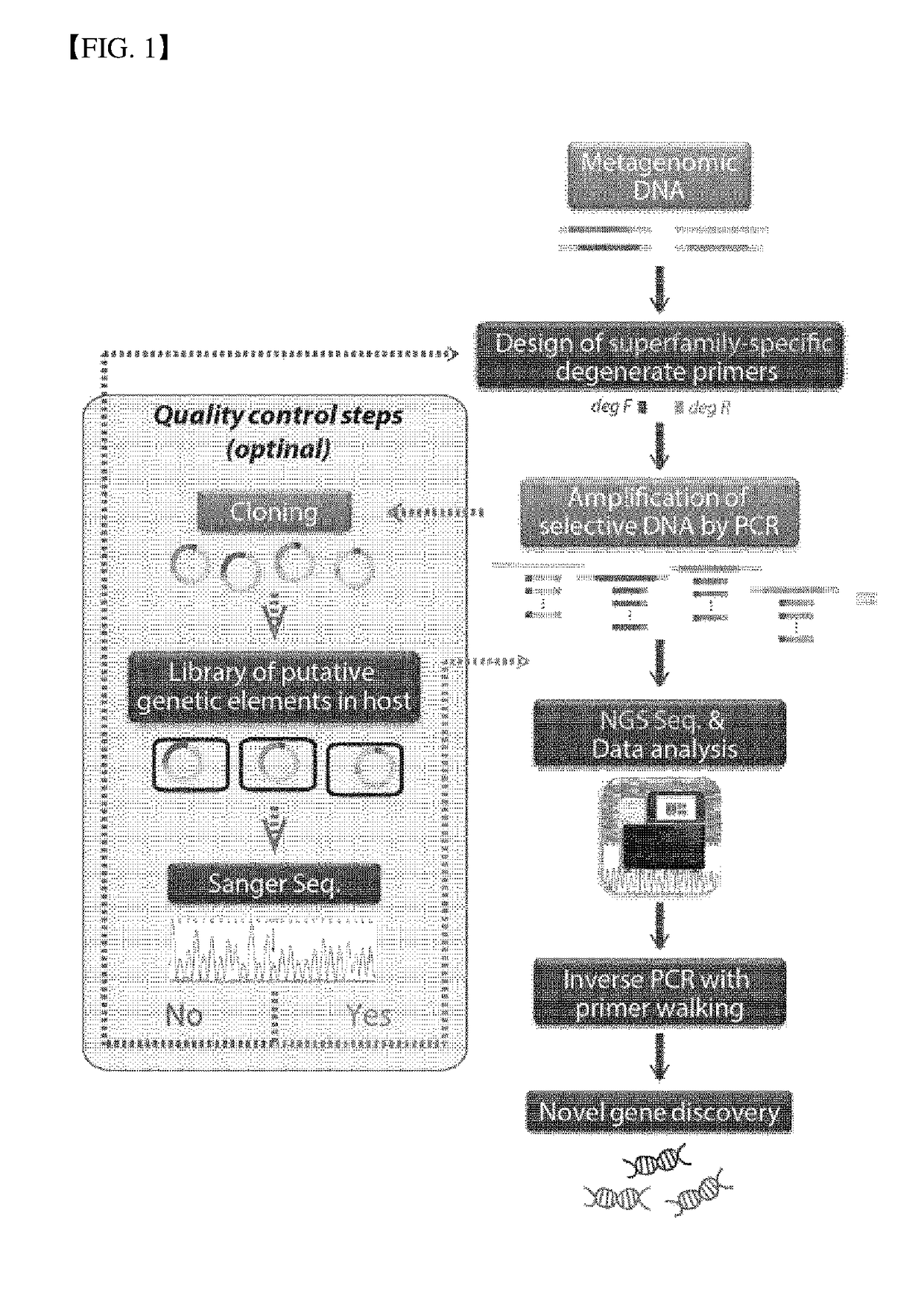 Method for Exploring Useful Genetic Resources Through Bulk Metagenome Analysis and Use Thereof