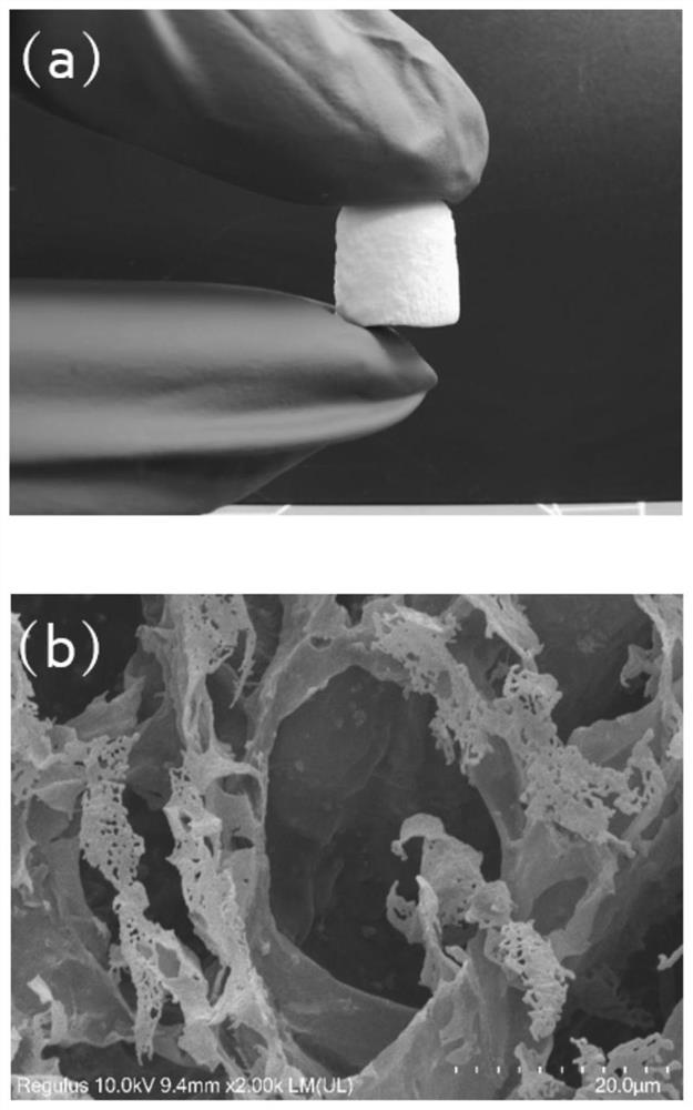 Natural polysaccharide sponge and preparation method and application thereof