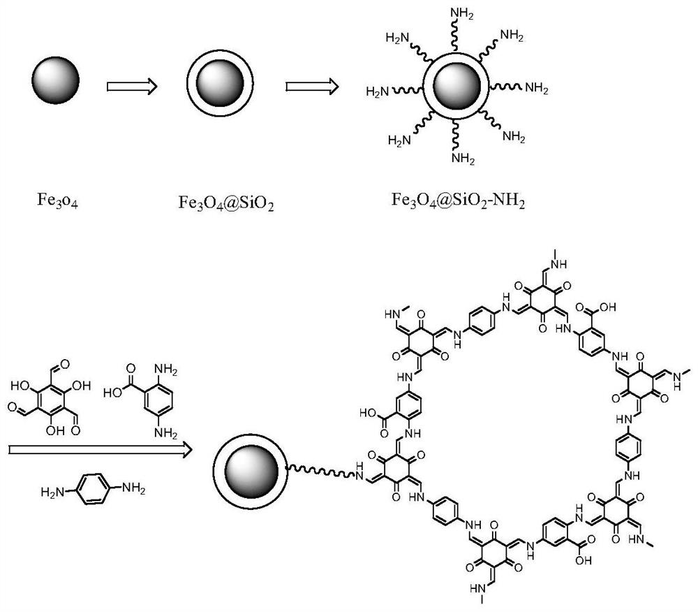 Magnetic carboxylated covalent organic framework nanocomposite material and its preparation method and application