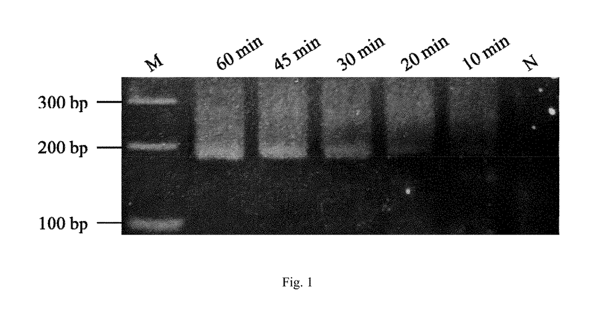 Method and kit for the field diagnosis of caprine arthritis-encephalitis virus (CAEV) infection