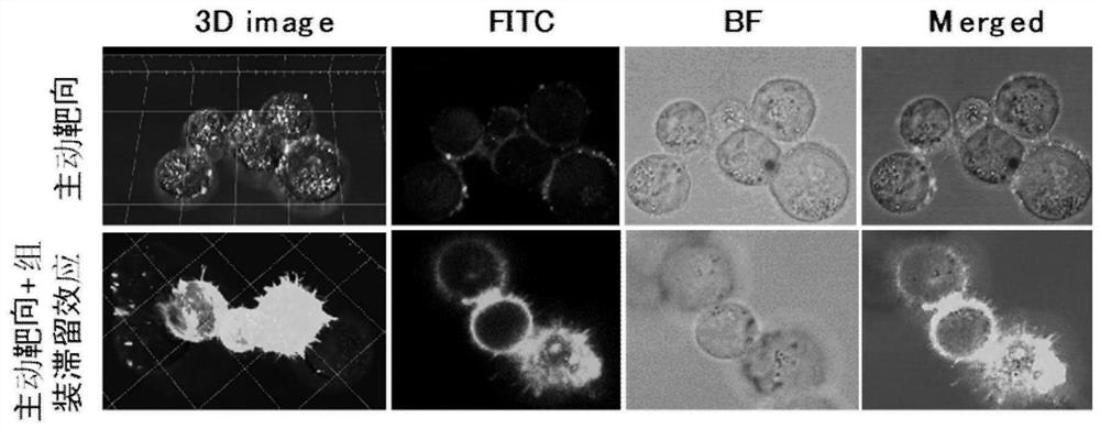 A molecular imaging probe and its application